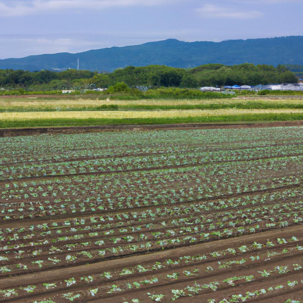 博多区の土地売却で畑の新たな活用を提案します！