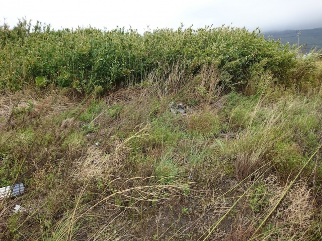 あなたの荒地が資産に！福岡の土地評価を見直そう！
