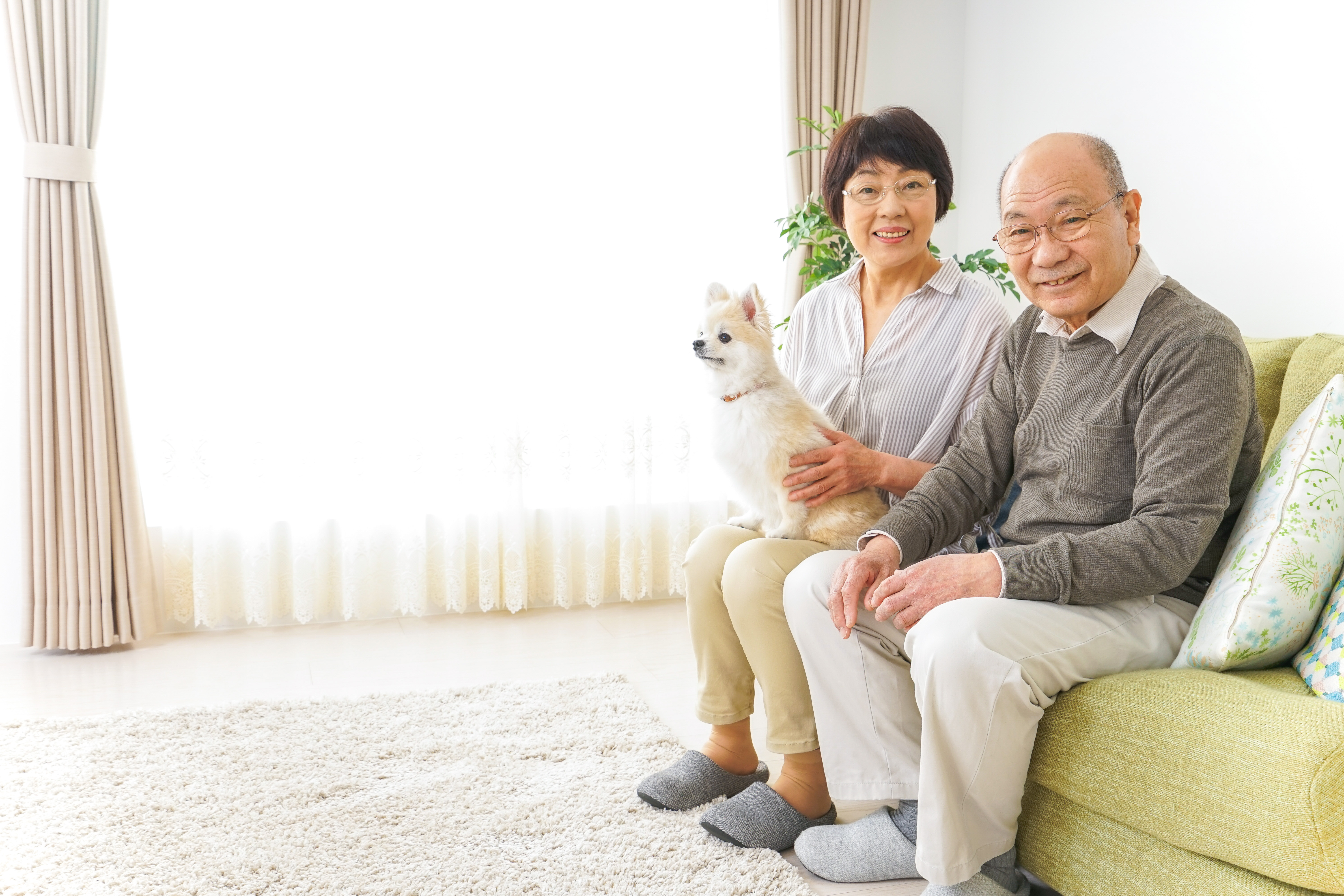 実績・事例（短文）